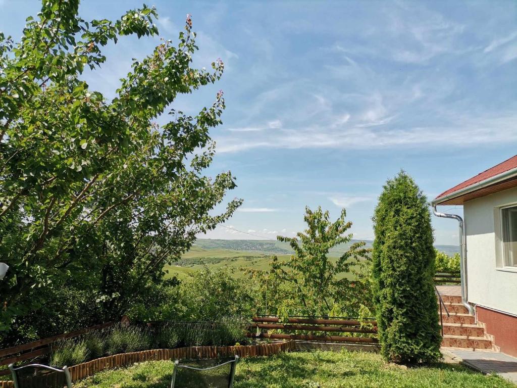 Zahrada ubytování Casa Anca