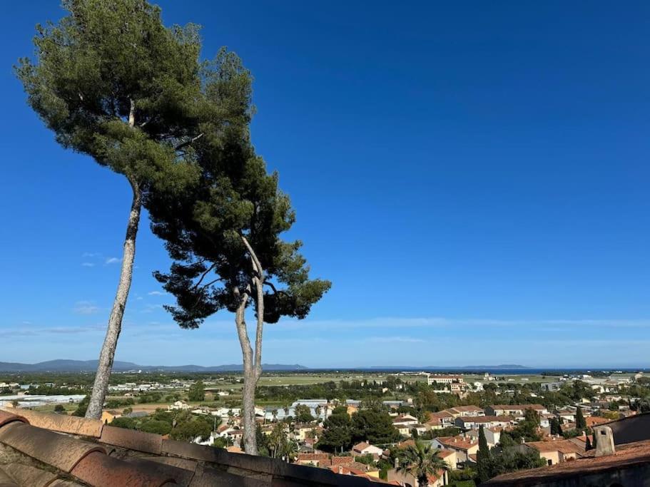 due alberi appoggiati in cima a un muro di Nid douillet vue mer Hyères a Hyères