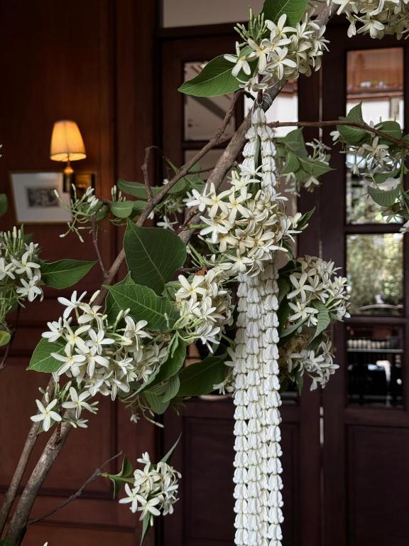 Sela Chiangmai - Resim 30