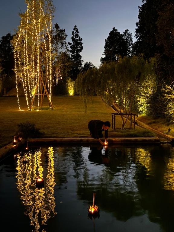 Sela Chiangmai - Resim 28