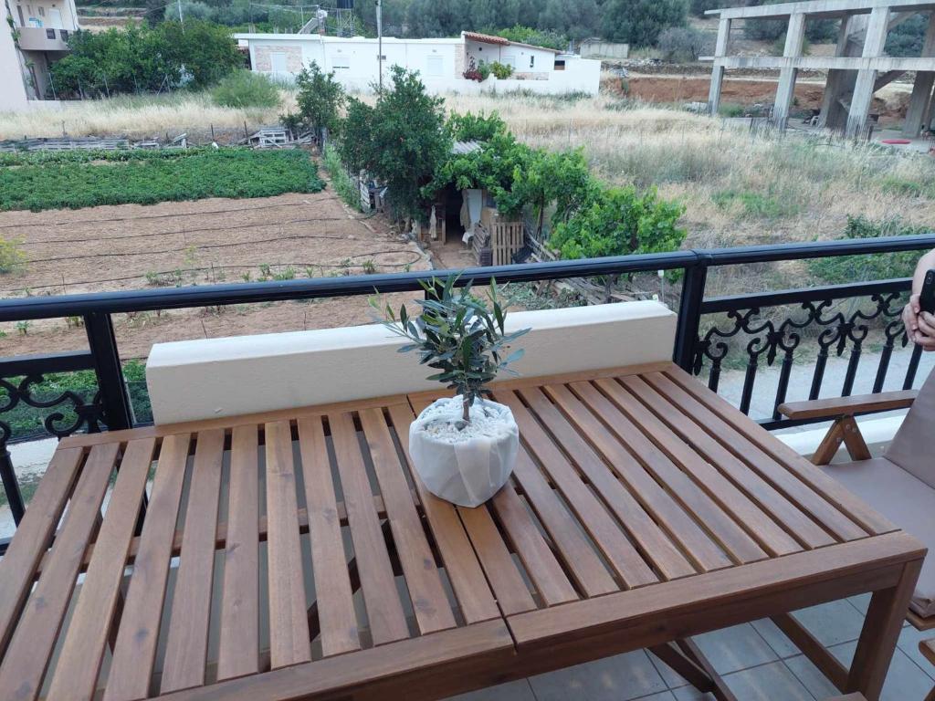 a potted plant sitting on a wooden bench on a balcony at Boho Zen Retreat in Agia Pelagia
