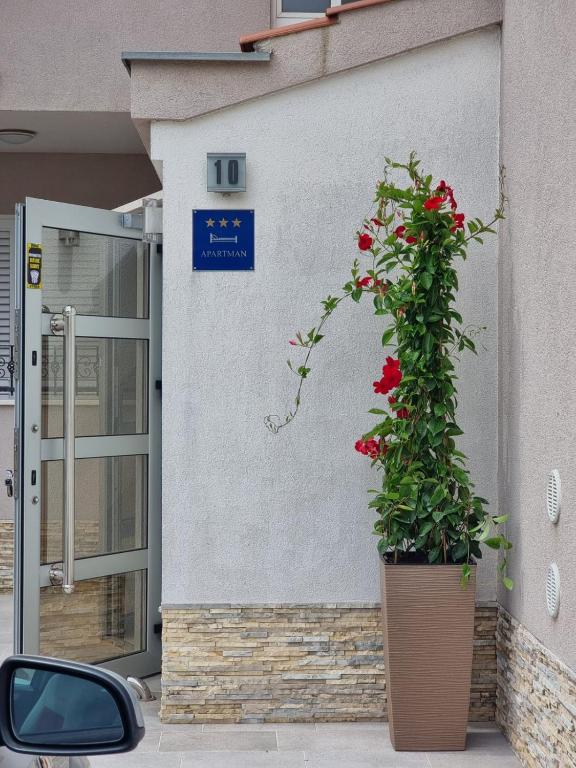 Fotografie z fotogalerie ubytování Vila BonBon 2 v destinaci Biograd na Moru