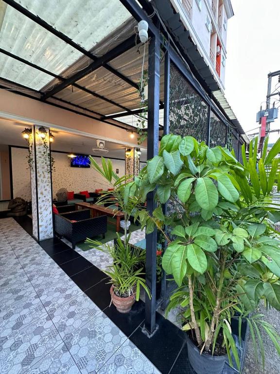 Zahrada ubytování Blueskyhouse Patong