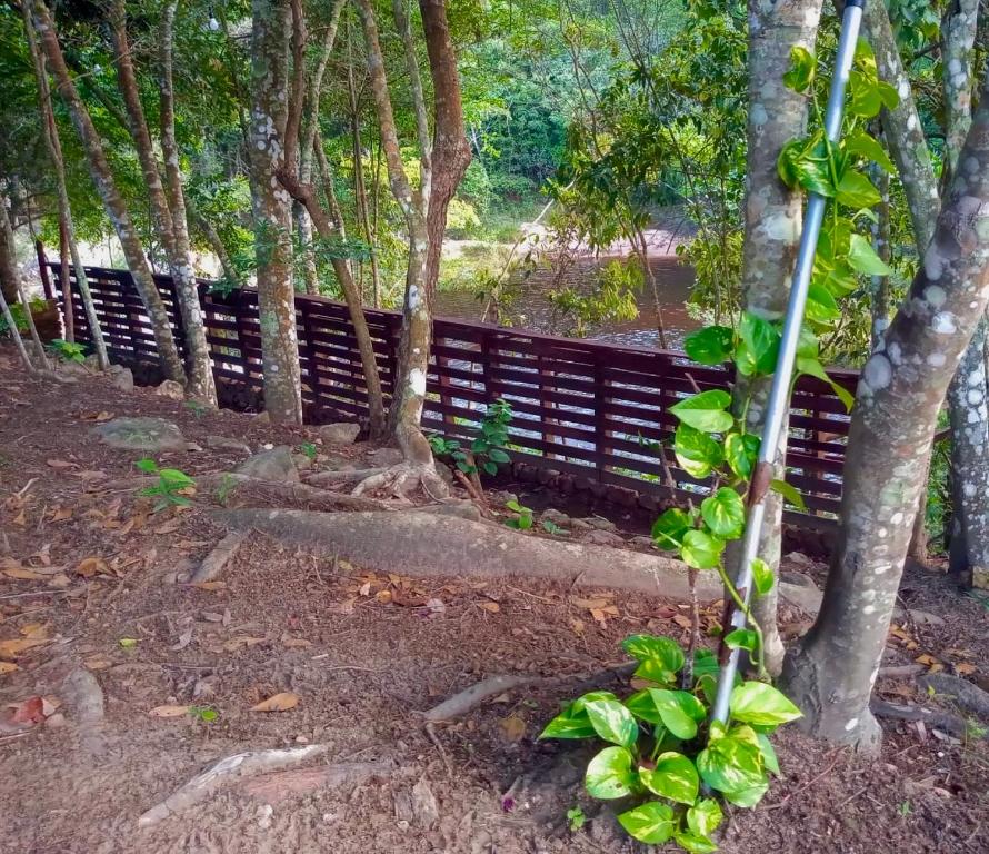 a fence in the middle of a forest with trees at Reserva do Bosque Hospedaria e Natureza in Ibicoara