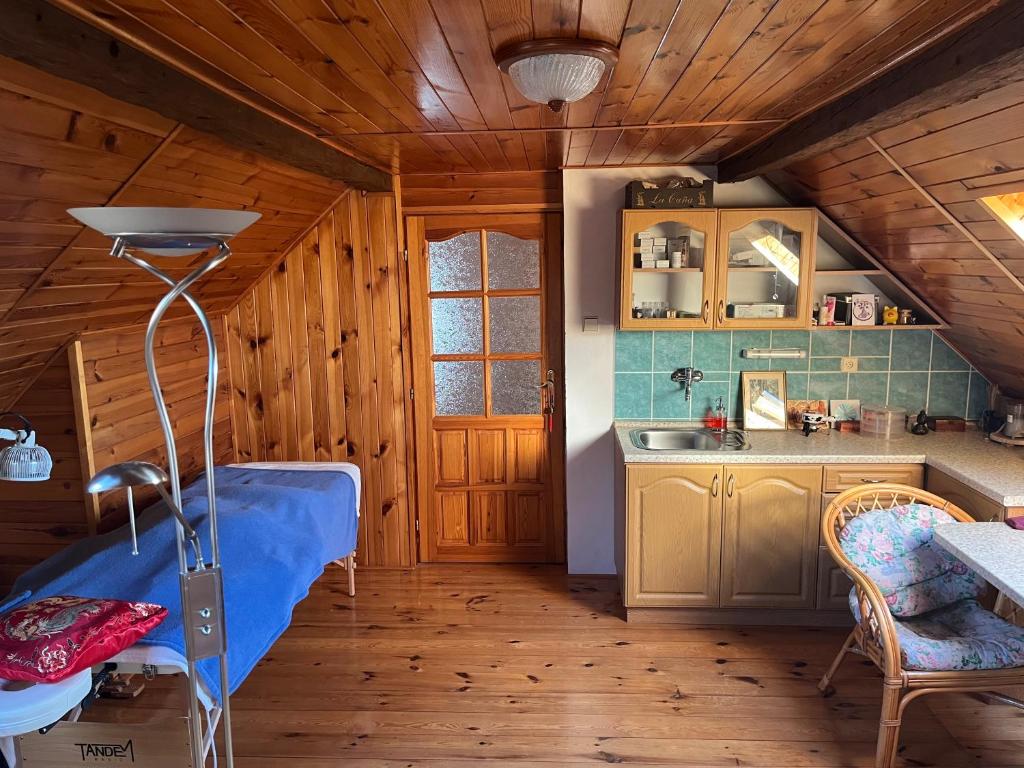Kuchyň nebo kuchyňský kout v ubytování Cat’s House- Dům u třech koček
