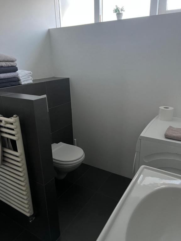 a white bathroom with a toilet and a sink at Family apartment in Reykjavík