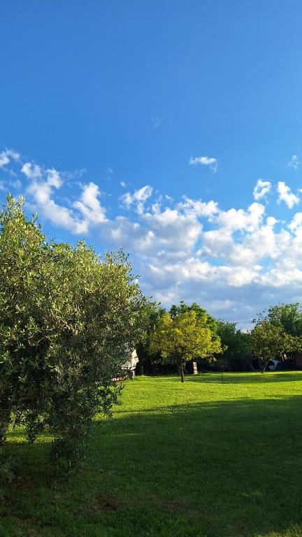 Příroda nedaleko apartmánu
