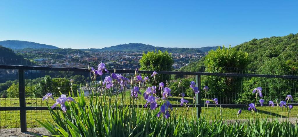 a bunch of purple flowers on a fence at Villa Duno a un passo da Città Alta in Clanezzo