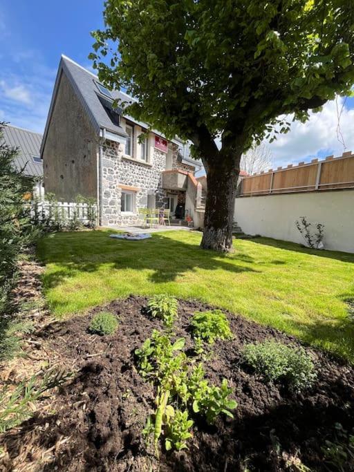 une maison avec un arbre en face d'une cour dans l'établissement Gîte du Tilleul - Sauna & Jardin, à Olby