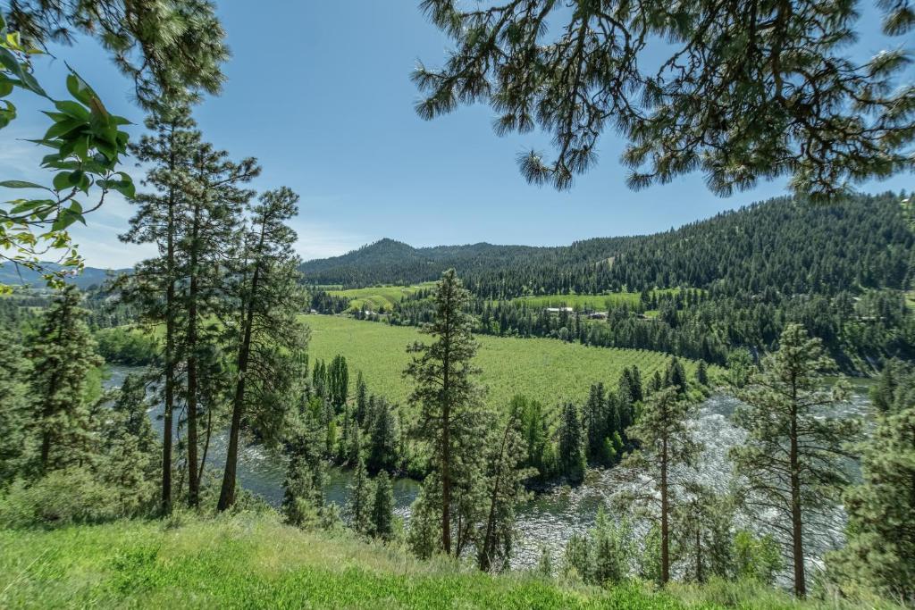 a view of a river from a hill with trees at River Heights Home cabin in Leavenworth