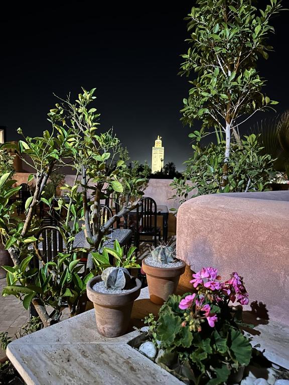 Zahrada ubytování Riad Atrium & Spa