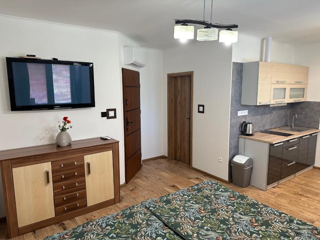 Kuchyň nebo kuchyňský kout v ubytování Apartmán Losonci
