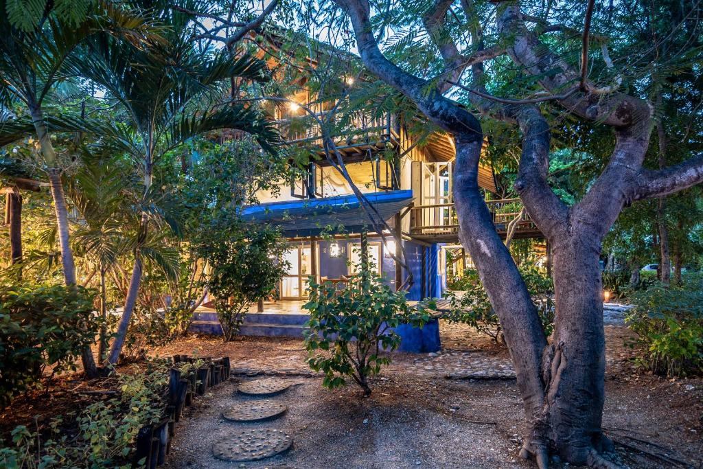 a house with a tree in front of it at Hotel Playa Manglares Isla Baru in Barú