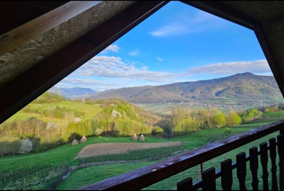 a view from a window of a field with mountains at Kuća za odmor Andrea in Bajina Bašta