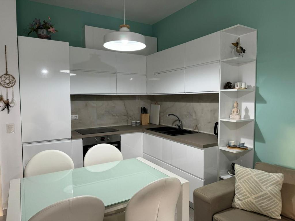 Kuchyň nebo kuchyňský kout v ubytování Valamar Residenc , ROAN apartment, Gjiri i Lalzit, Albania
