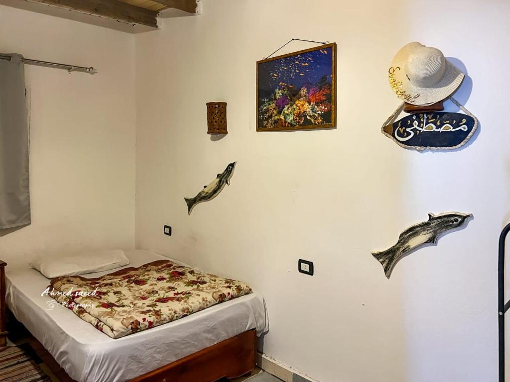 Fotografie z fotogalerie ubytování elhome v destinaci Dahab