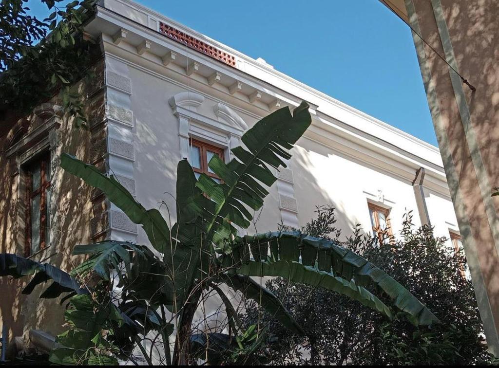 Nuovo appartamento a Cagliari - Tranquillo e centrale