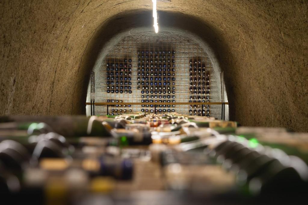 Hotel Korona Wellness, Rendezvény és Borszálloda - Resim 35