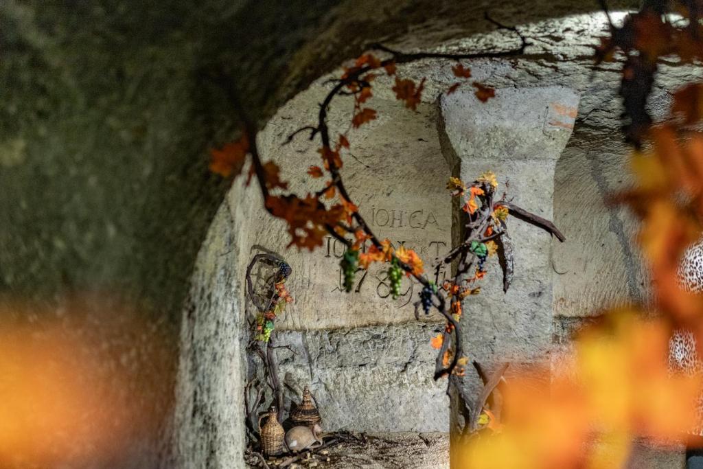 Zahrada ubytování Hotel Korona Wellness, Rendezvény és Borszálloda