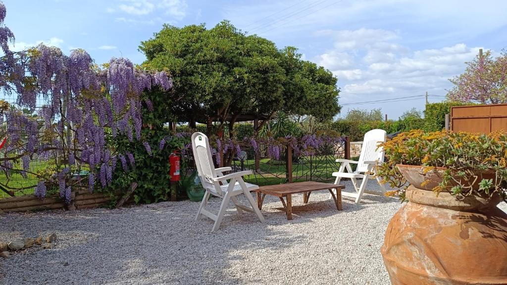 Foto dalla galleria di BellOretta a Donoratico