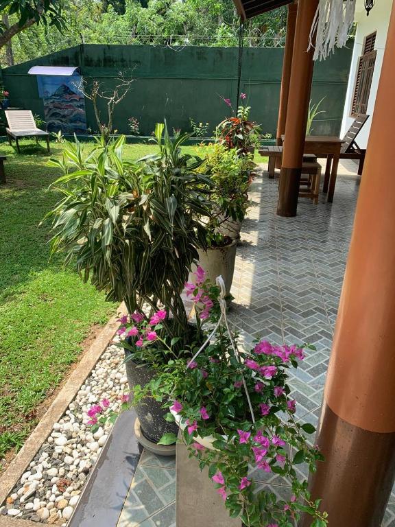 Zahrada ubytování Serendip Villa Holiday HomeTalalla Sri Lanka