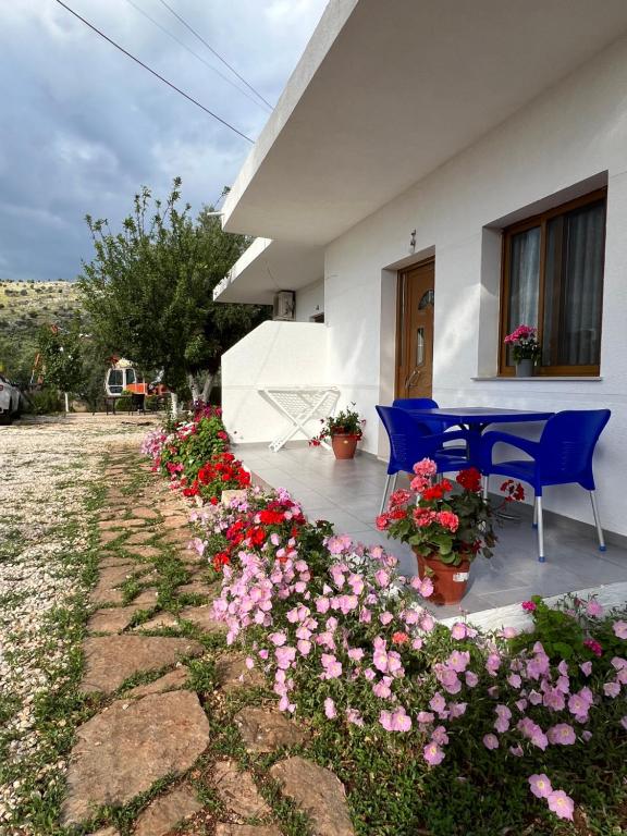 a house with blue chairs and flowers in the yard at Dea Apartament in Ksamil