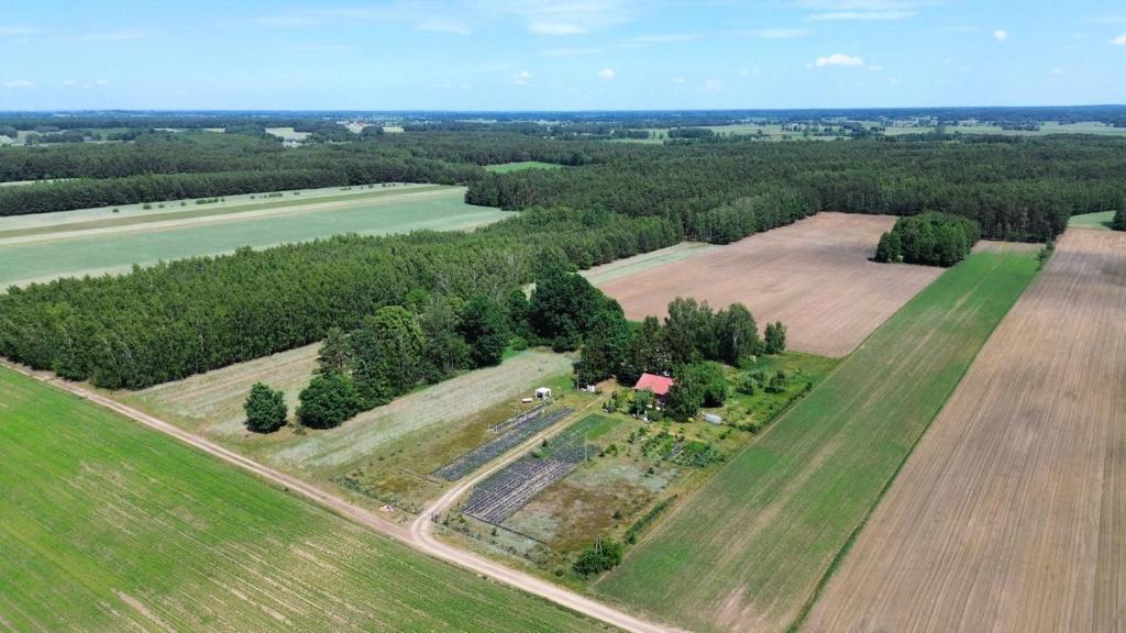 an aerial view of a field with a farm at Lawendowa Sonata in Nowe Miasto