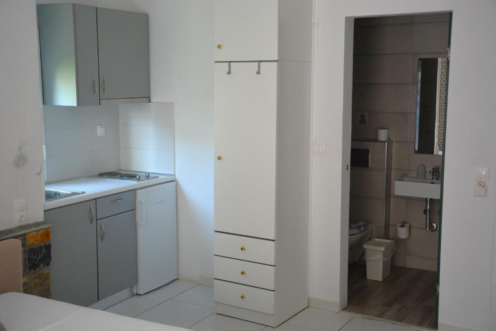 Kuchyňa alebo kuchynka v ubytovaní Virginia Rooms
