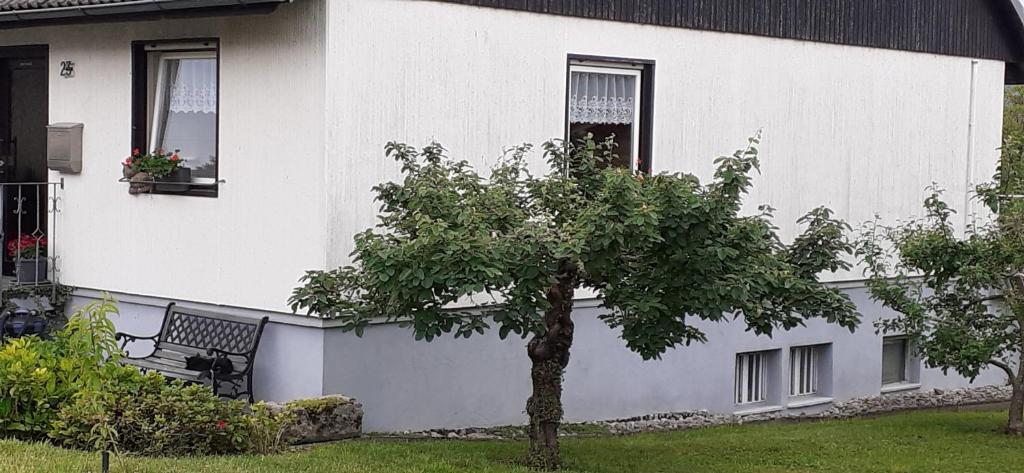 Zahrada ubytování Ferienwohnung Belchenblick
