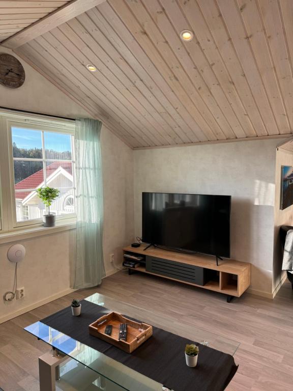 TV a/nebo společenská místnost v ubytování Fjällbacka Premium Living - Wonderful Location