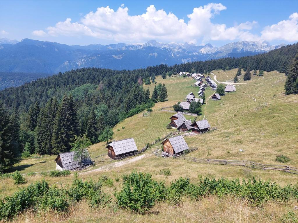 Příroda nedaleko apartmánu