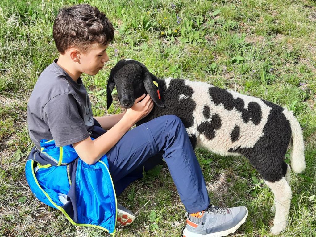 Domáce zviera alebo zvieratá hostí v ubytovaní Alblerhof