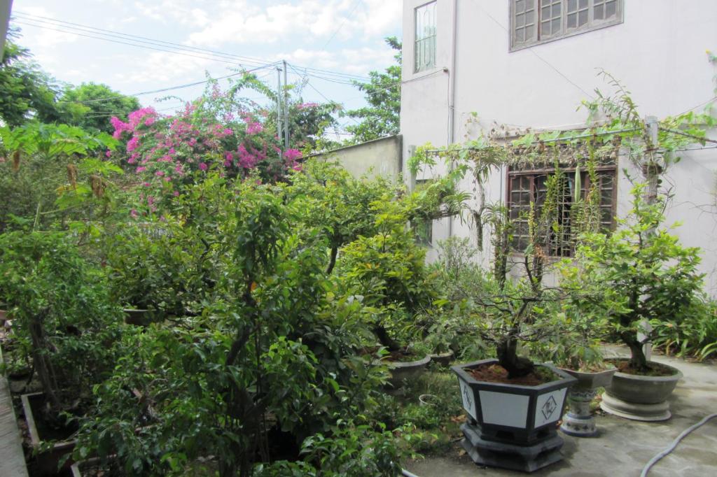 Zahrada ubytování Charming Homestay