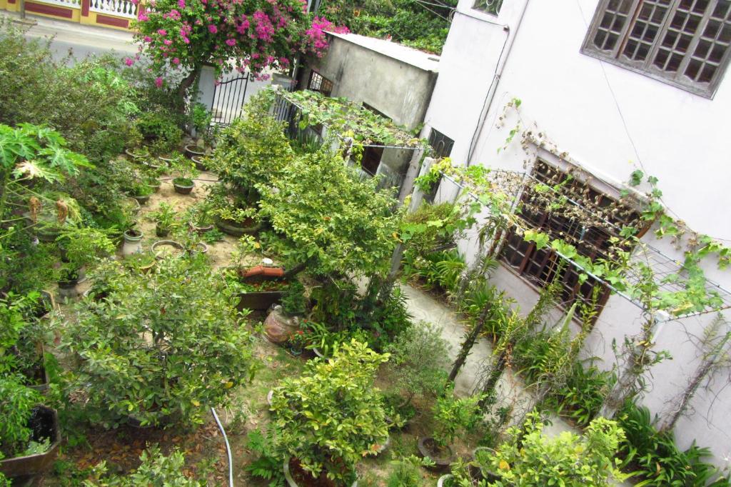Zahrada ubytování Charming Homestay