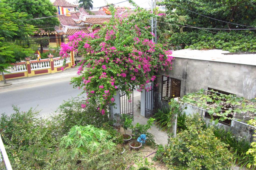 Zahrada ubytování Charming Homestay
