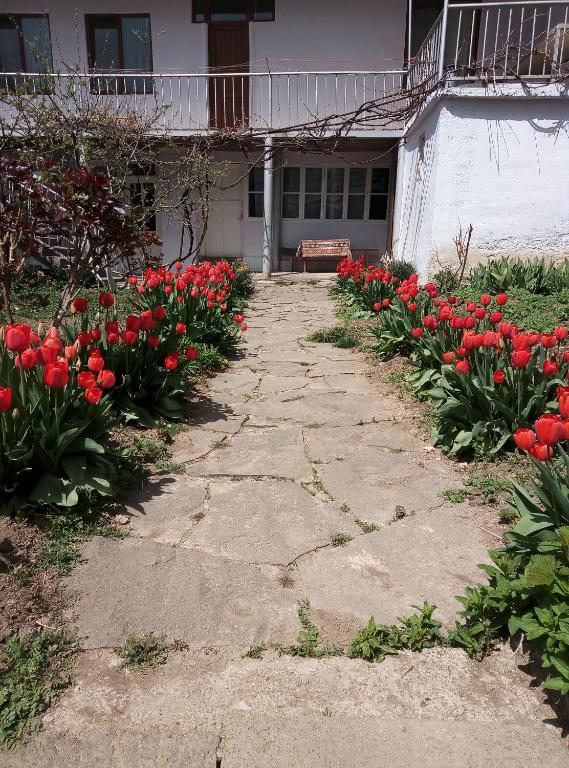 Zahrada ubytování Aspet B&B