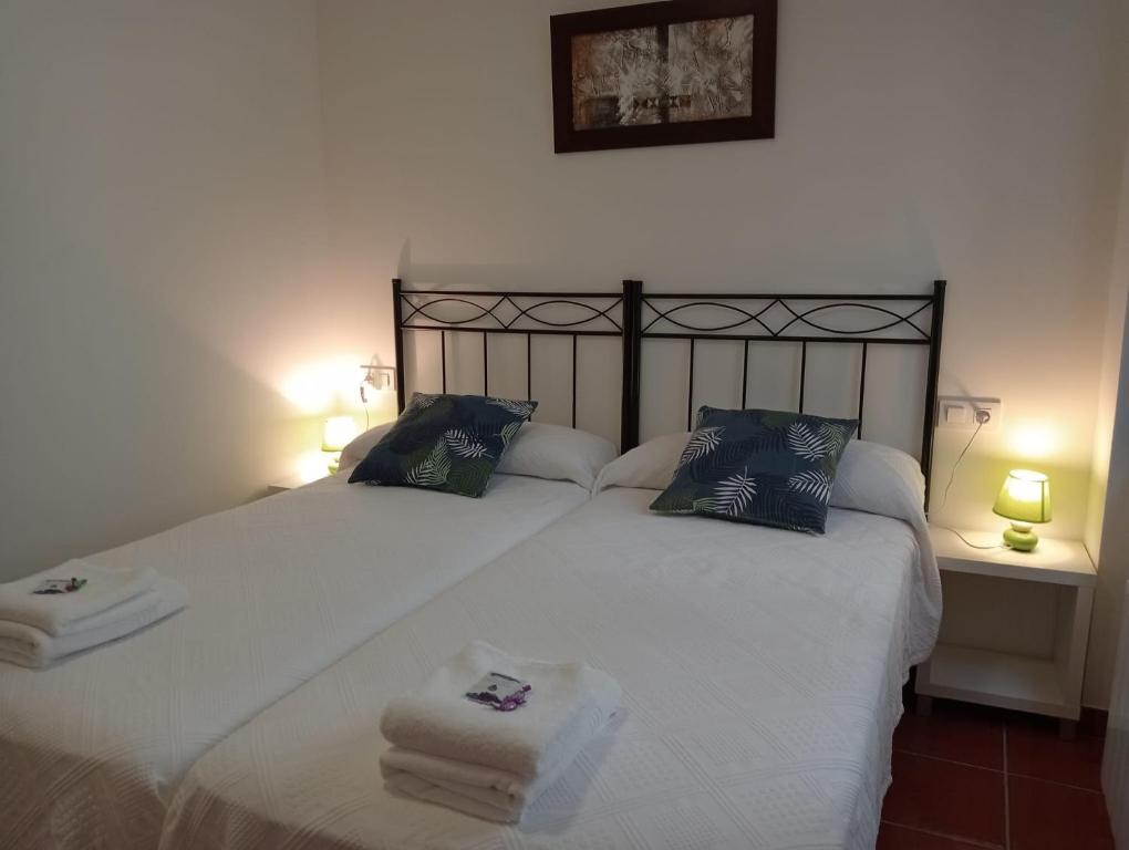 Posteľ alebo postele v izbe v ubytovaní Apartamentos La Piedra en pleno centro histórico con dos dormitorios y dos baños