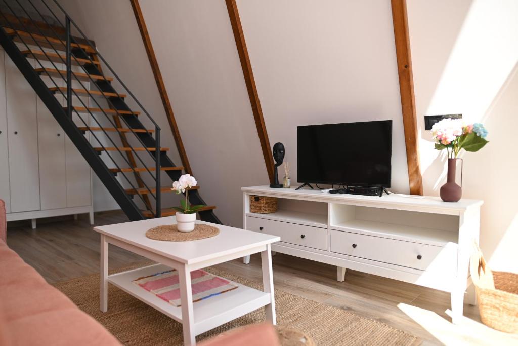 Televiisor ja/või meelelahutuskeskus majutusasutuses Horizonti