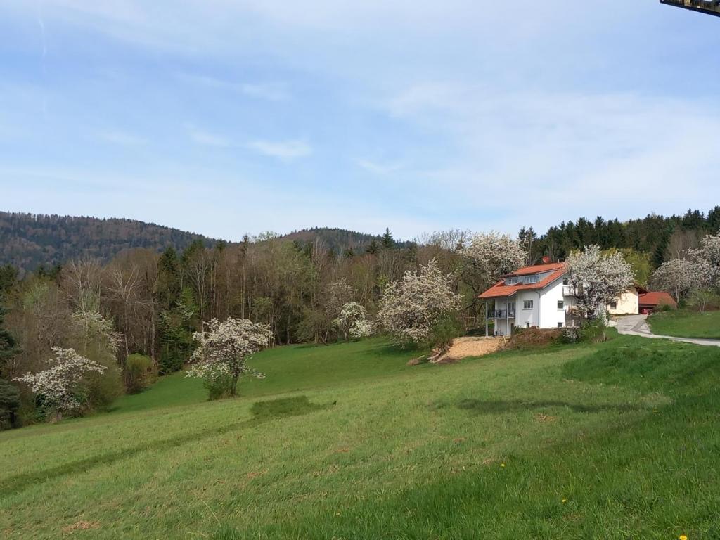 Příroda nedaleko apartmánu