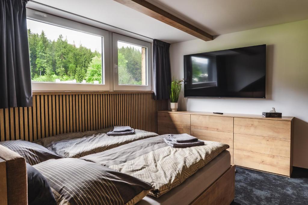 TV a/nebo společenská místnost v ubytování Luxusní Apartmán Domovjanka - SKALKA FAMILY