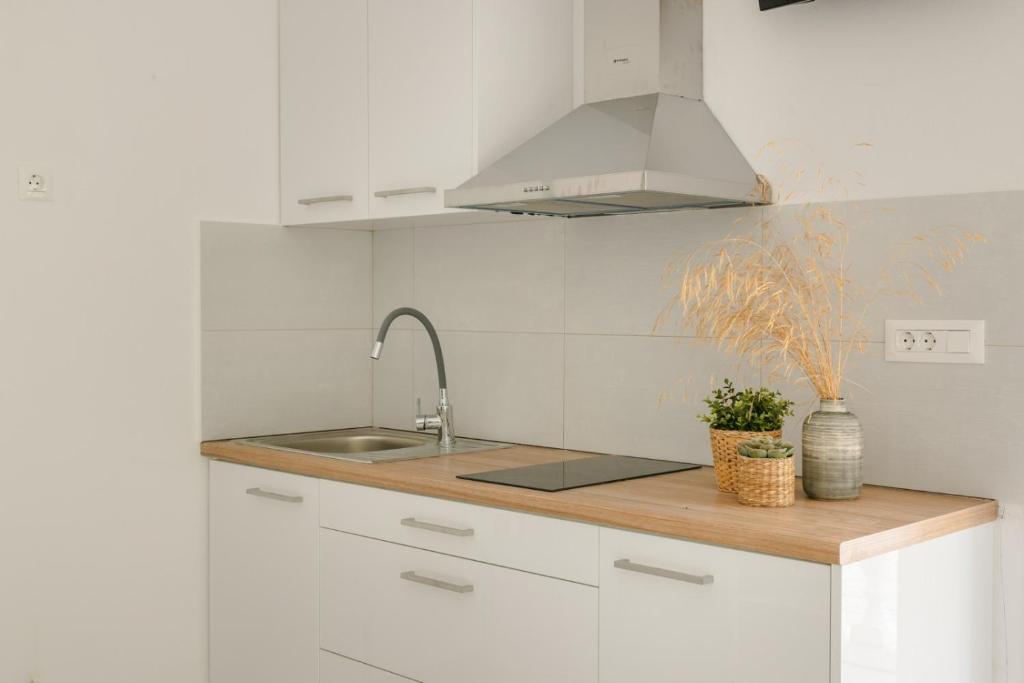 Kuchyň nebo kuchyňský kout v ubytování Vivian Apartments