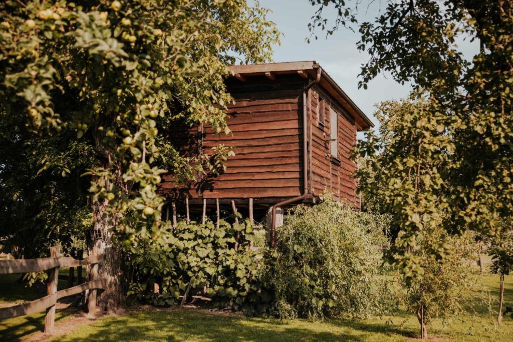 Aed väljaspool majutusasutust Treehouse Drevesna hiška Štrkovo gnezdo Ranč Jureš