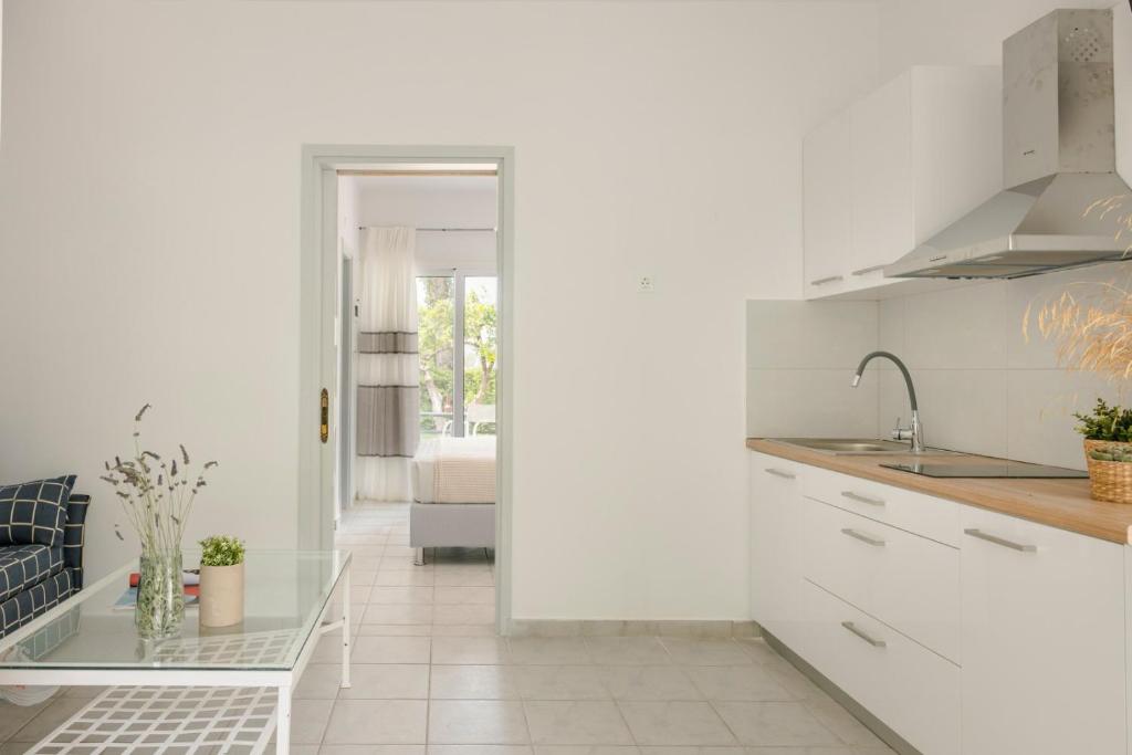 Kuchyň nebo kuchyňský kout v ubytování Vivian Apartments