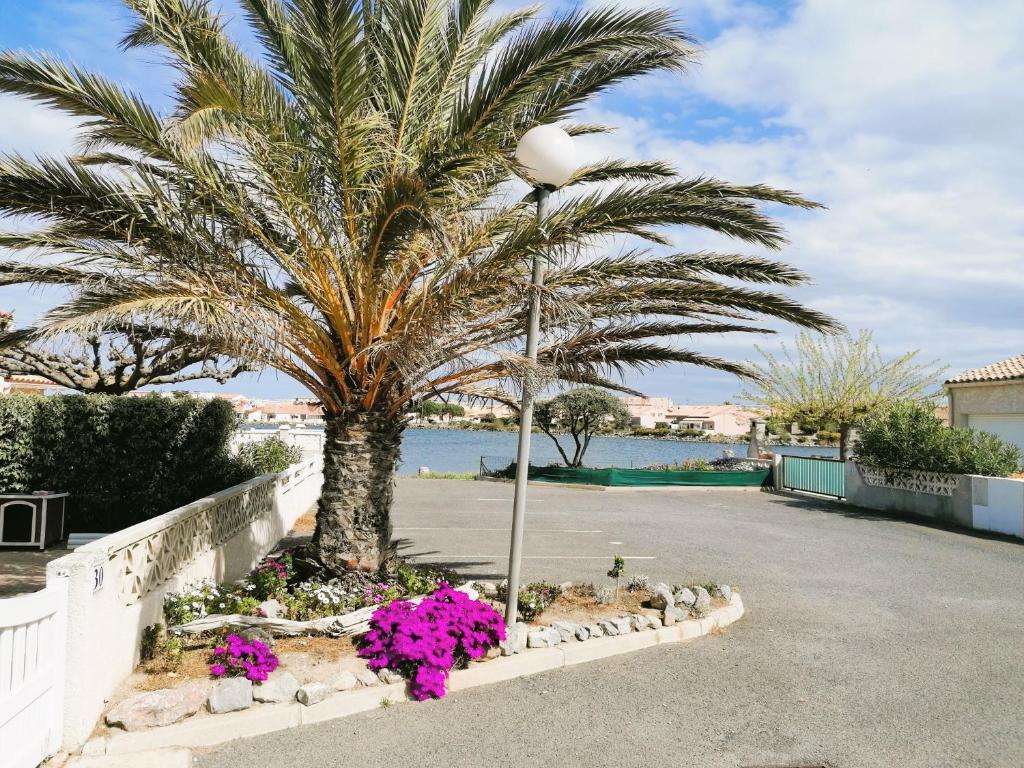 un palmier et des fleurs dans un parking dans l'établissement Maison Palmier du lac, à Port-la-Nouvelle