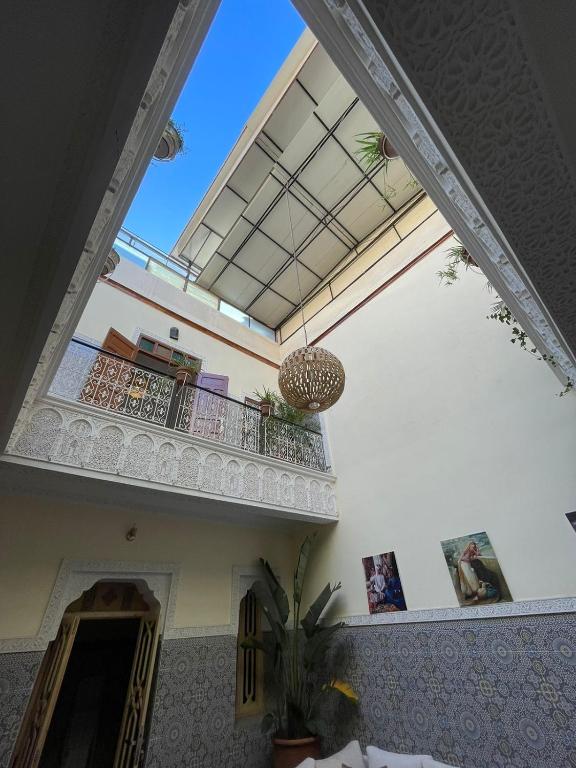 Riad Fridi — photo 4