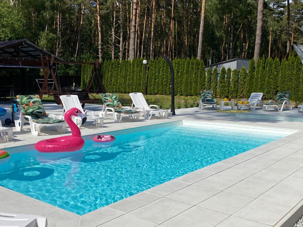 una piscina con un cisne rojo en el agua en Pensjonat Magnolie, en Pobierowo