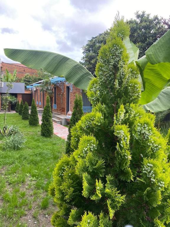 Zahrada ubytování Hotel Varla