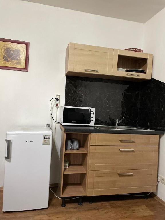 Kuchyň nebo kuchyňský kout v ubytování Apartmány IVETA