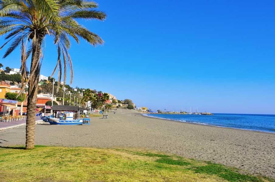 a beach with a palm tree and the ocean at Apartamento Maui beach en el palo in Málaga