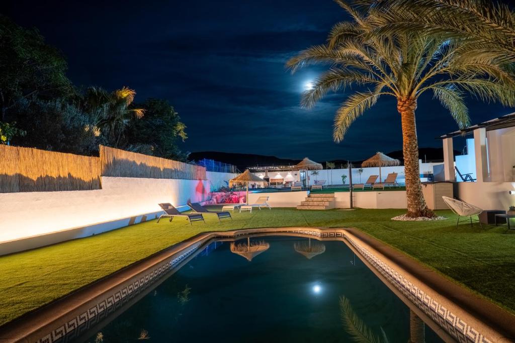 una piscina notturna con una palma di Villa Oasys a Almería